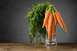 Fresh carrots in a glass vase