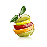 Slices of fruits, apple shape. Sketch for your design