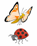 Butterfly and ladybug