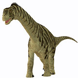 Camarasaurus Juvenile on White