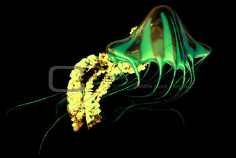 Yellow Green Jellyfish