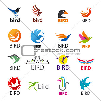 big set of vector logos birds