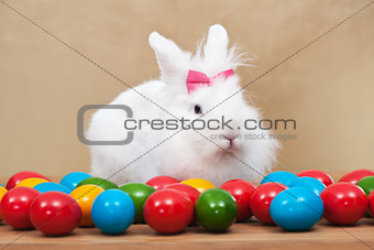 Cute easter bunny sitting iamong colorful eggs