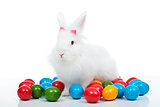 Cute white easter bunnz among colorful eggs