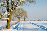 Winter road in the countryside, a beautiful winter day