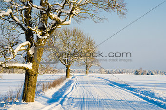Winter road in the countryside, a beautiful winter day