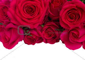bouquet of dark  pink roses close up