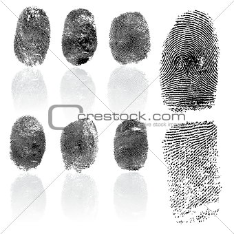 Set of fingerprints, vector illustration