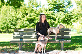 Young girl  with two greyhounds in the park
