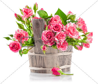 jpg2015020815093469332 Bunch pink roses in wooden bucket