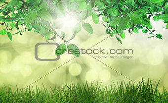 Leaves and grass against a defocussed background