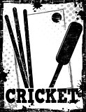 Cricket dirty poster