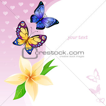 Background of colorful butterflies and flower