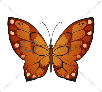 Colorful vector butterfly