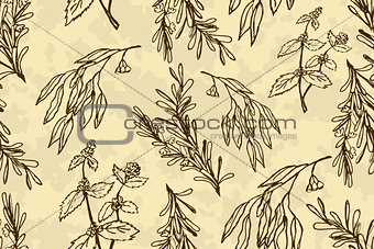 Handdrawn Illustration - Health and Nature Seamless Pattern.