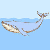Sketch cute whalel in vintage style