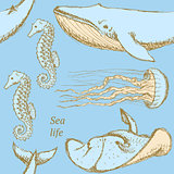 Sketch sea creatures in vintage style
