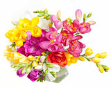 Beautiful bouquet of colorful freesia