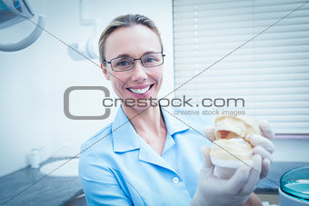 Smiling female dentist holding mouth model