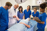 Medical students and professor checking pulse of student