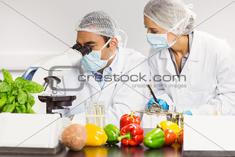 Food scientists using the microscope for research