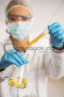Food scientist doing an experiment with corn