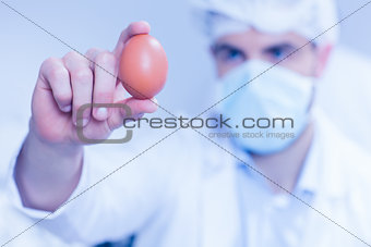 Food scientist looking at an egg