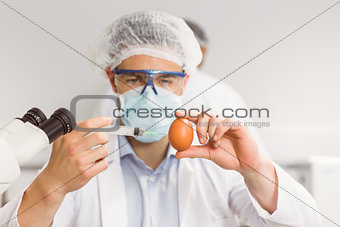 Food scientist injecting an egg