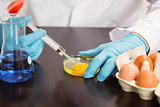 Food scientist injecting an egg yolk in petri dish