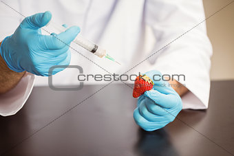 Food scientist injecting a strawberry