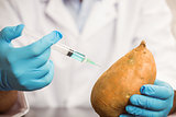 Food scientist injecting a potato
