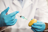 Food scientist injecting a potato