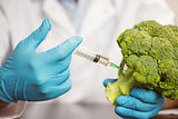 Food scientist injecting head of broccoli