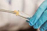 Food scientist putting raw chicken in test tube