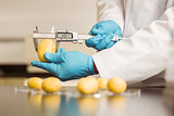 Food scientist measuring a potato