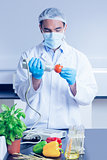 Food scientist using device on tomato