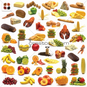 large page of food on white background