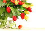 Colored tulips with glass vase 