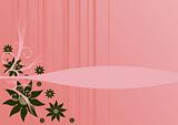 Flowers over pink background