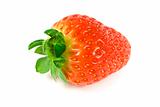 One strawberry closeup