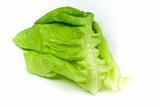 Isolated detail of leaf lettuce
