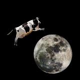 Cow Jumping over Moon