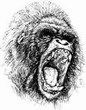 Vector raging ape illustration