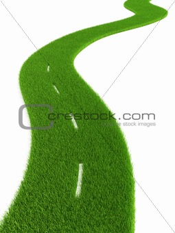 grassy road