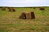 old bales