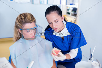 Dentist showing patient model of teeth