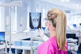 Female dentist in pink scrubs examining x-ray
