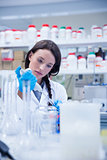 Concentrated female scientist using a pipette
