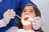 Pediatric dentist examining her young patient