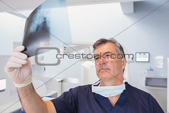 Serious dentist examining a x-ray